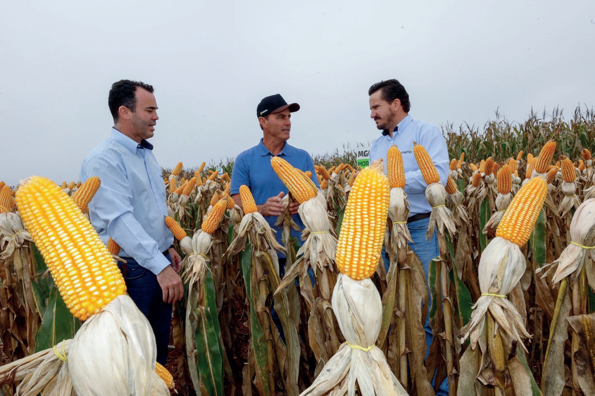 Anselmo Gonçalves de Almeida, gerente da Coamo em Brasilândia do Sul, Edvaldo Vicentin, e Ronaldo Lopes Costa, engenheiro agrônomo
