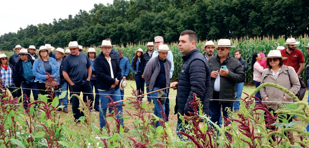 Cooperados e técnicos observam demonstração de manejo de plantas daninhas em lavoura na Fazenda Experimental