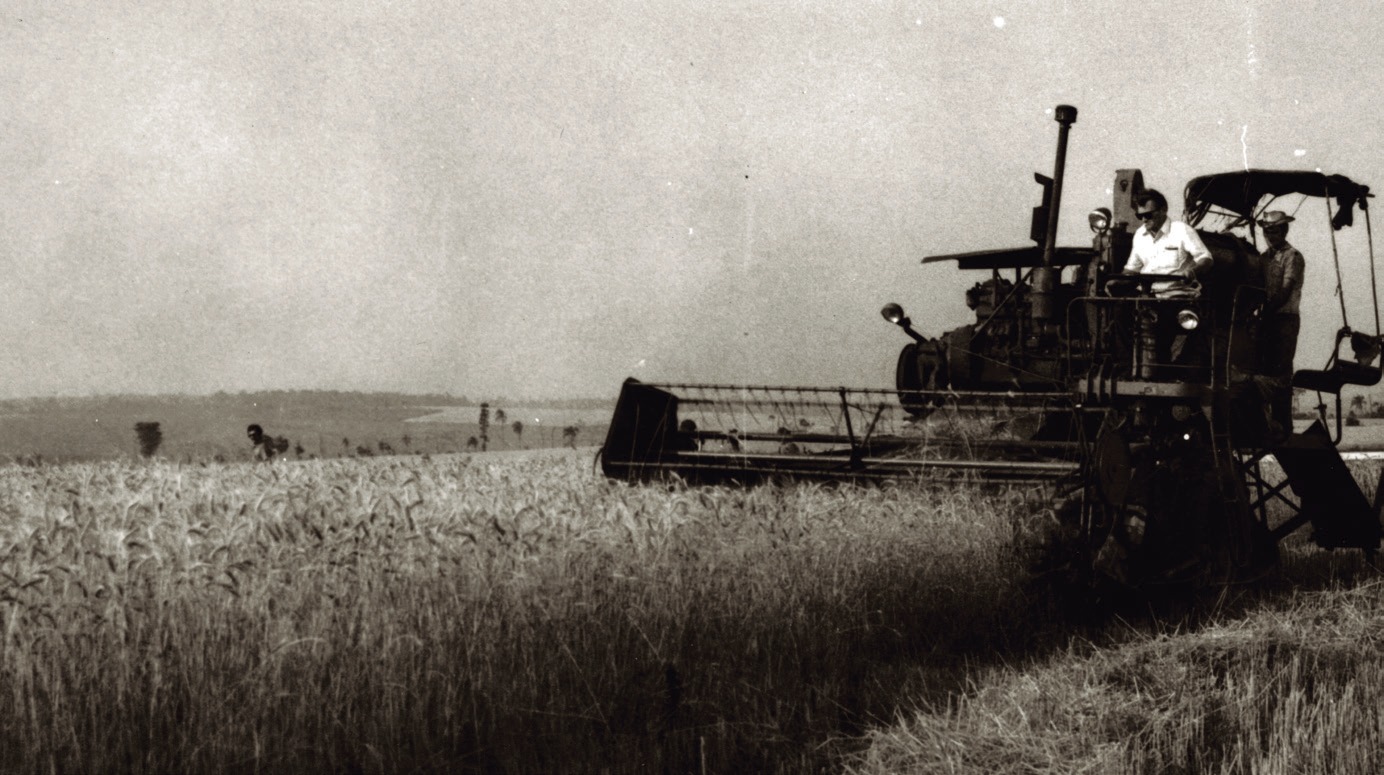Colheitadeira antiga em lavoura de trigo, em foto em preto e branco