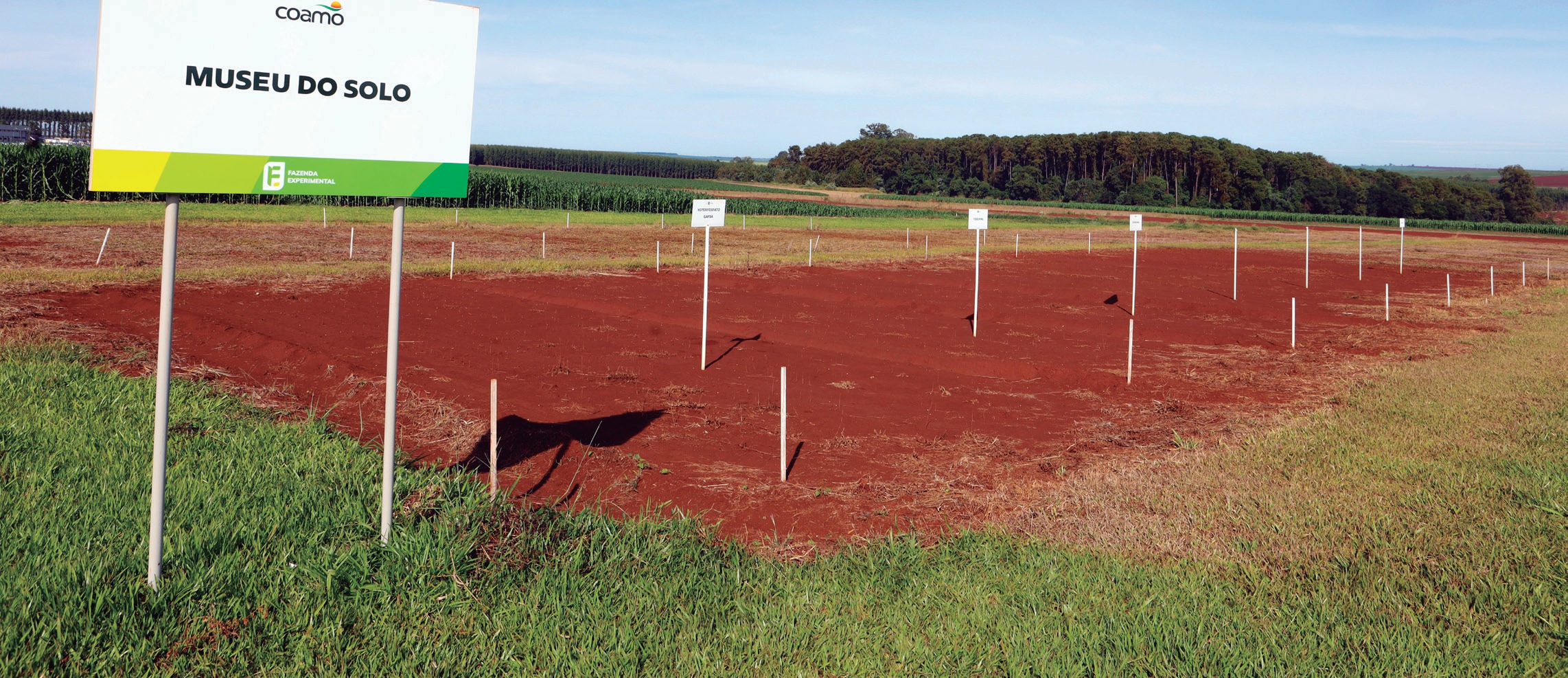 &Aacute;rea do Museu do Solo na Fazenda Experimental da Coamo, com solo vermelho e placa de identifica&ccedil;&atilde;o