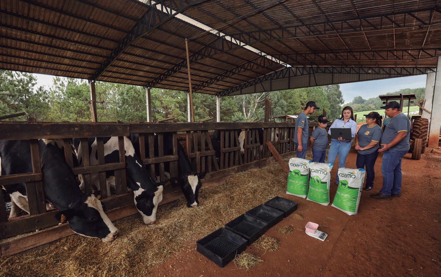 Veterin&aacute;ria e cooperados em curral coberto com vacas leiteiras e sacos de ra&ccedil;&atilde;o