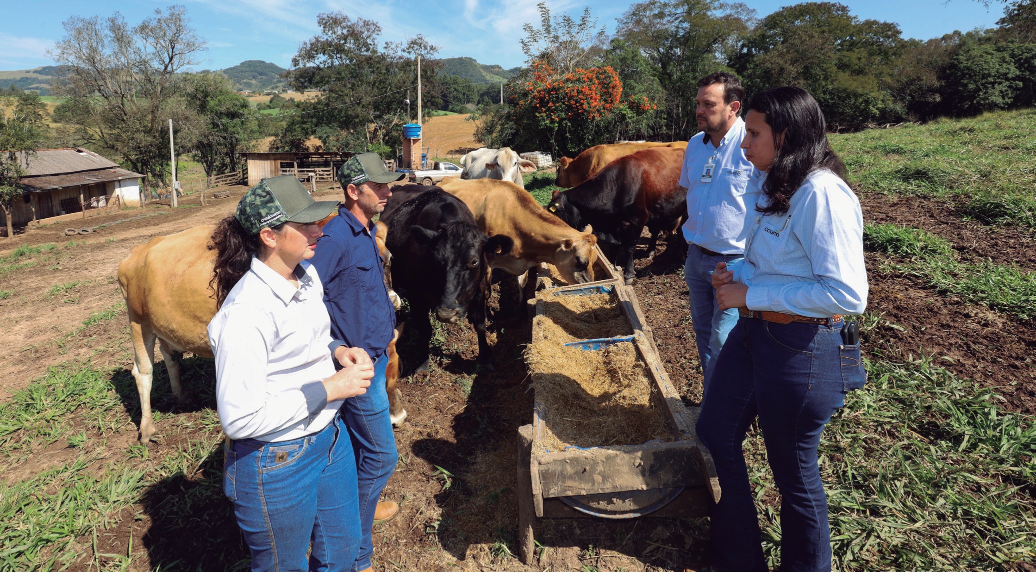 Casal, veterin&aacute;ria e engenheiro agr&ocirc;nomo ao lado de vacas num cocho, na pastagem