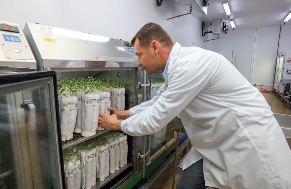 Laboratório de sementes da Coamo