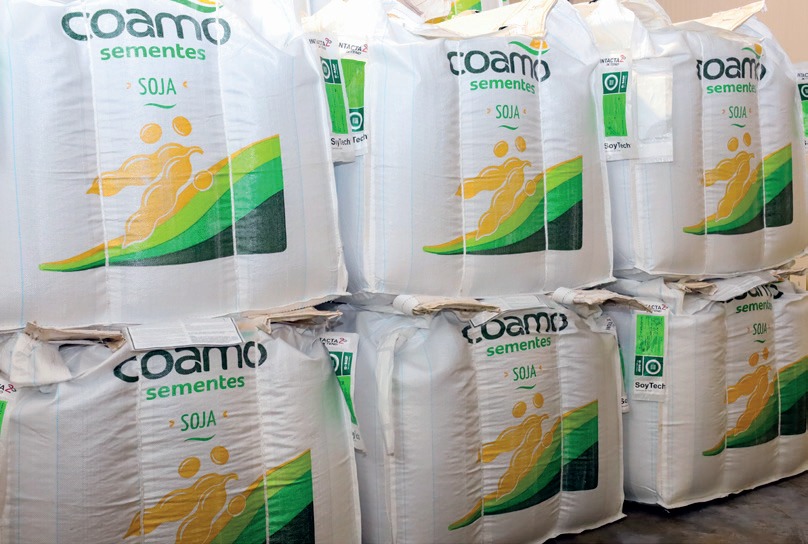 Big bags de sementes na Unidade de Beneficiamento