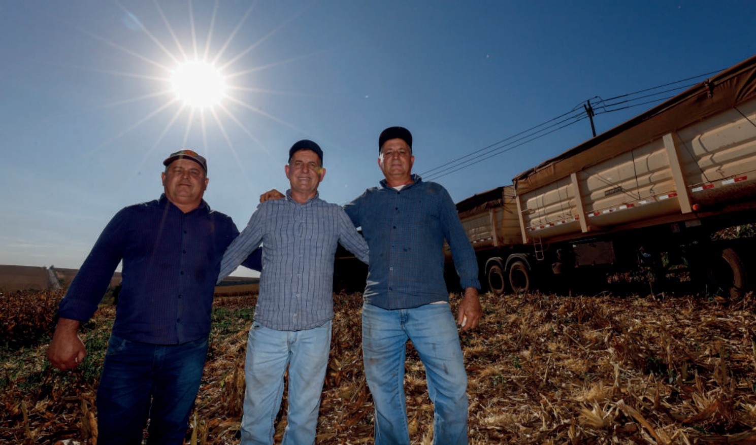 Irmãos Osmar, Sérgio e Edson Marangoni: cooperados em Fênix (PR)