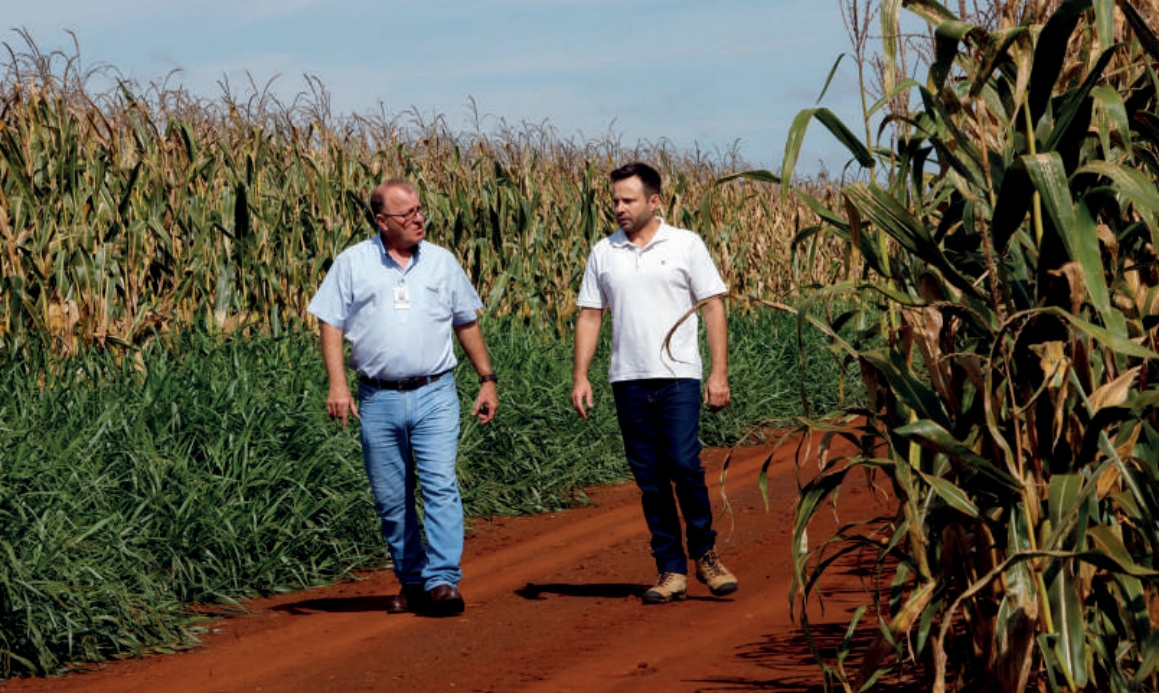Cooperado, Felipe Bissacotti Brandão, com o gerente da Coamo em Rio Brilhante (MS), Geraldo Biazim