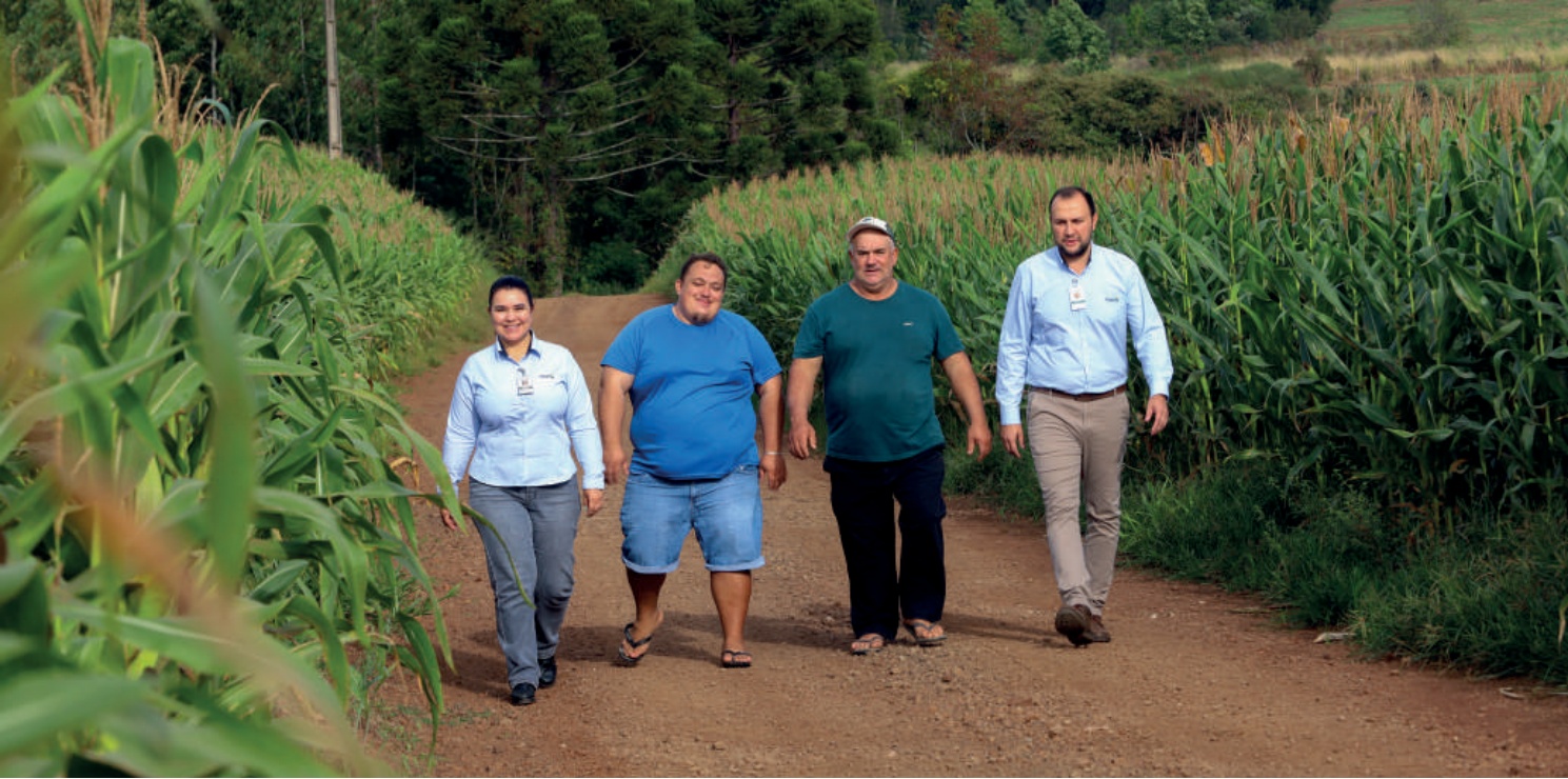 Karina Cristiane Demogalski, engenheira agrônoma, Luiz Fernando e Adir Spada, cooperados, e Franklin Bilibio, coordenador da Coamo em Ipuaçu (SC), caminhando em uma estrada de terra ao lado de uma plantação de milho.