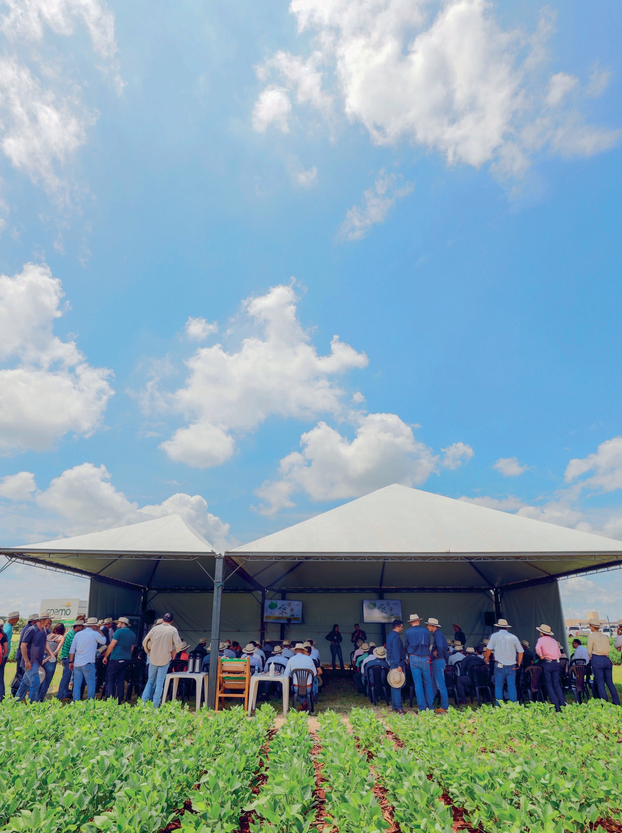 Vista geral do evento na Fazenda Experimental com cooperados em tendas