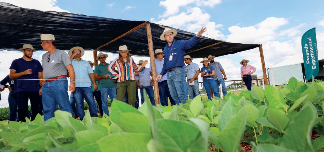 Equipe t&eacute;cnica e cooperados em dia de campo sobre fisiologia da soja