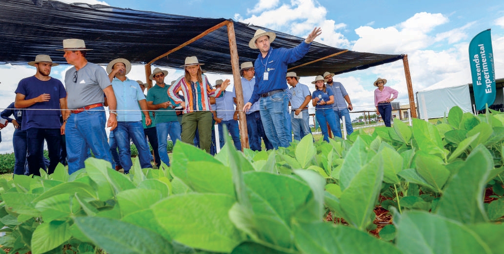 Cooperados em evento agron&ocirc;mico na Fazenda Experimental