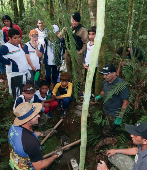 A&ccedil;&atilde;o de sustentabilidade com crian&ccedil;as plantando mudas na natureza
