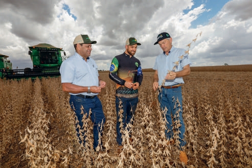 Raul Rodrigues dos Santos, Gian Carlos Lengert e Alfeu Luiz Fachim na lavoura de soja