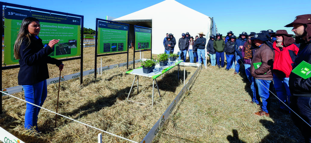 Participantes do Encontro de Inverno observam uma parcela de cultivo durante uma apresentação de campo sobre o manejo de trapoeraba.