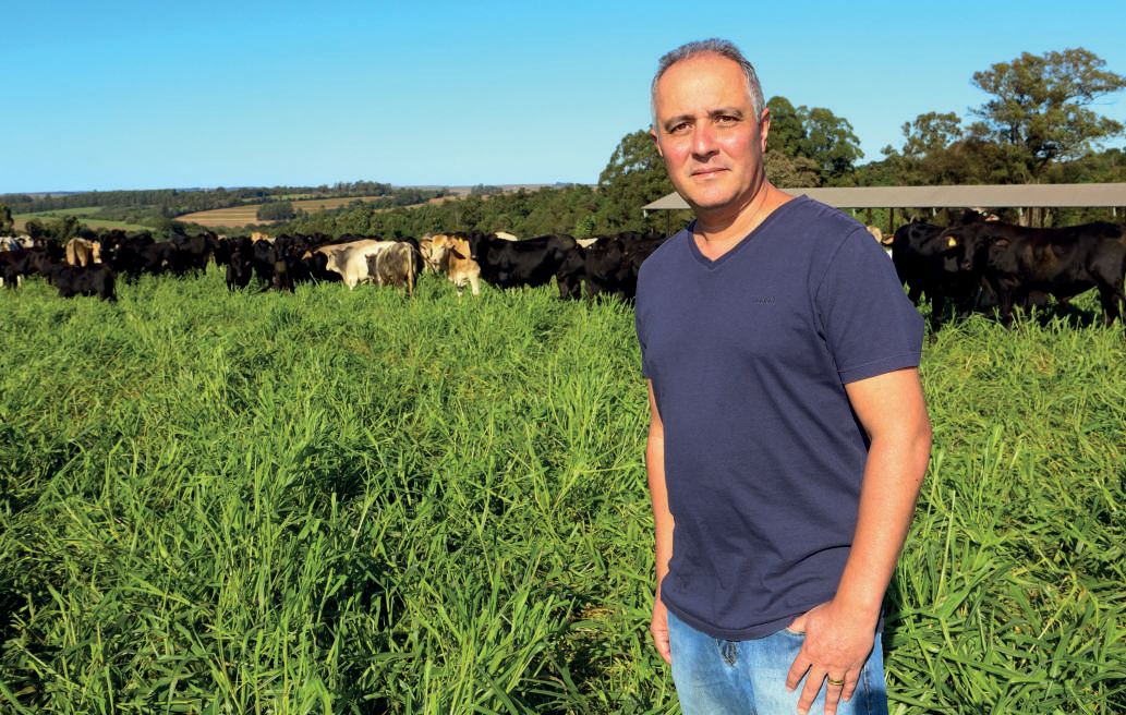 Cooperado, Márcio Fabiano Likes Pereira, de Campo Mourão, utiliza o sistema de integração lavoura-pecuária há mais de 15 anos