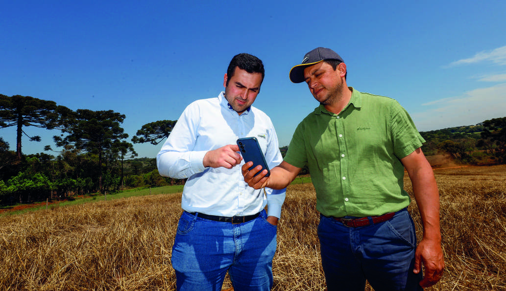 Dois homens em um campo, olhando para um smartphone.