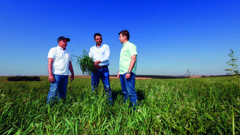 Três homens no campo analisam uma plantação